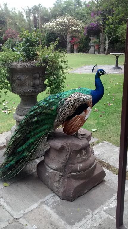 Las Calandrias Hotel Atlixco Kültér fotó